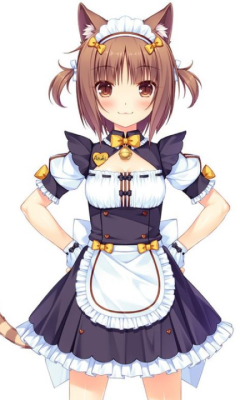 Image Azuki (Nekopara)