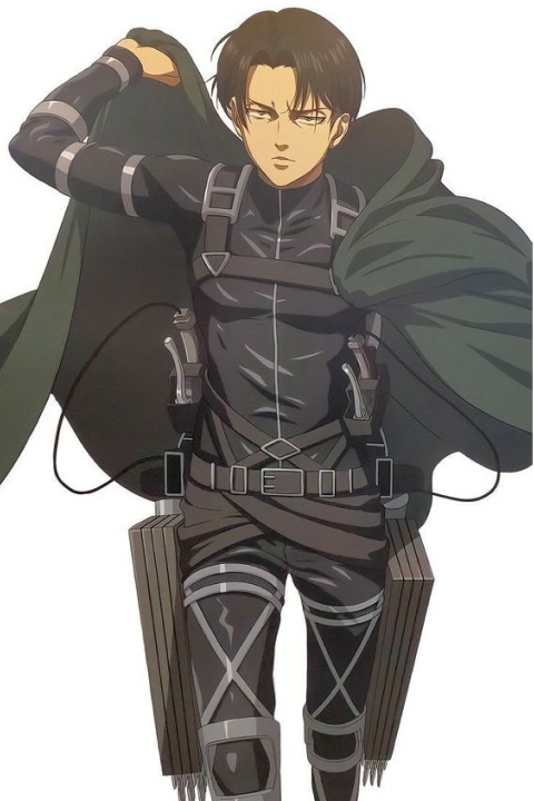 Image Levi Ackerman (Attack on Titan)