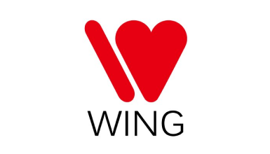 Fabricant figurine : Wing Logo