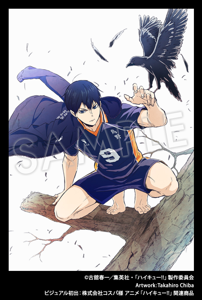 Visuel dessiné par Takahiro Chiba, utilisé pour la figurine ARTFX J de Tobio Kageyama !