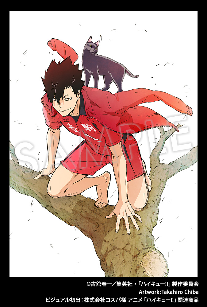 Visuel dessiné par Takahiro Chiba, utilisé pour la figurine ARTFX J de Tetsuro Kuroo !