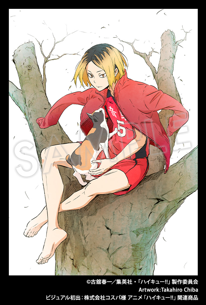 Visuel dessiné par Takahiro Chiba, utilisé pour la figurine ARTFX J de Kenma Kozume !