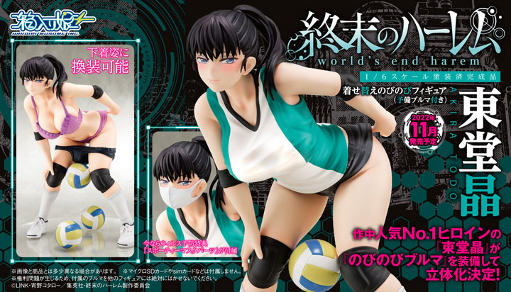 Figurine World's End Harem Akira Todo - Hakoiri Musume Couv