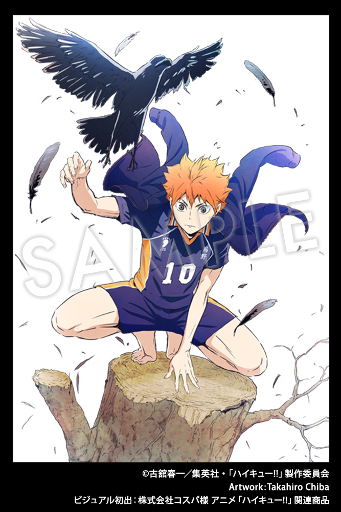 Visuel dessin&eacute; par Takahiro Chiba, utilis&eacute; pour la figurine ARTFX J de Shōyō Hinata !